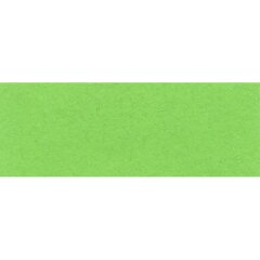 Tonzeichenpapier, 130g/m², 50 x 70 cm, hellgrün